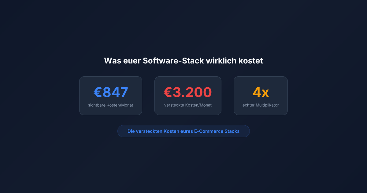 Was euer E-Commerce Software-Stack wirklich kostet