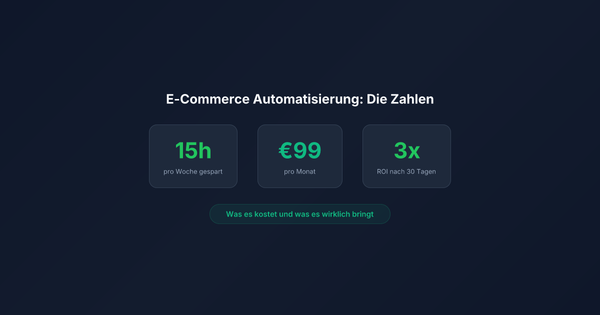 E-Commerce Automatisierung: Was kostet es und was bringt es wirklich?