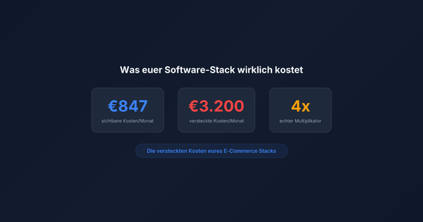 Was euer E-Commerce Software-Stack wirklich kostet